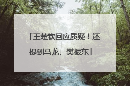 王楚钦回应质疑！还提到马龙、樊振东