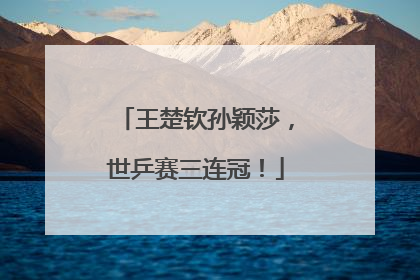 王楚钦孙颖莎，世乒赛三连冠！