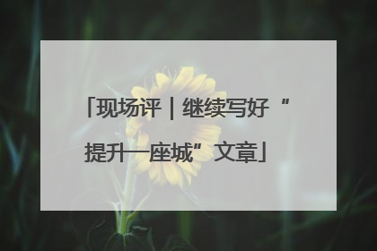 现场评｜继续写好“提升一座城”文章