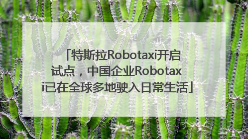 特斯拉Robotaxi开启试点，中国企业Robotaxi已在全球多地驶入日常生活