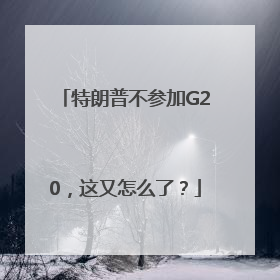 特朗普不参加G20，这又怎么了？