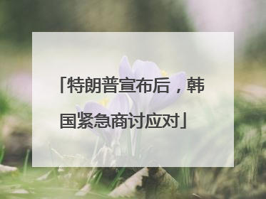 特朗普宣布后，韩国紧急商讨应对