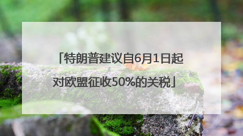 特朗普建议自6月1日起对欧盟征收50%的关税