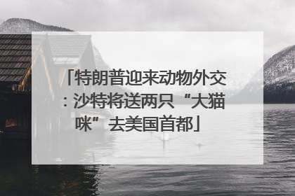 特朗普迎来动物外交：沙特将送两只“大猫咪”去美国首都