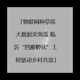 物联网种草莓 大数据卖黄瓜 临沂“四雁孵化”工程链动乡村共富