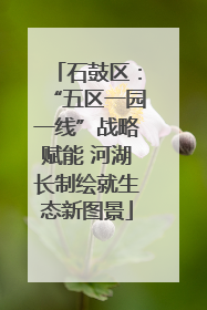 石鼓区：“五区一园一线”战略赋能 河湖长制绘就生态新图景