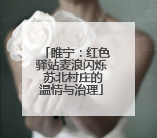 睢宁：红色驿站麦浪闪烁 苏北村庄的温情与治理