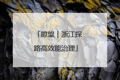 瞭望｜浙江探路高效能治理