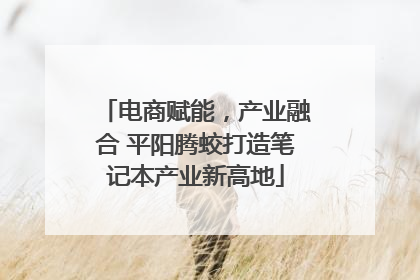 电商赋能，产业融合 平阳腾蛟打造笔记本产业新高地