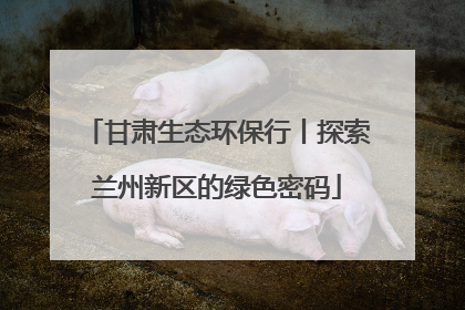 甘肃生态环保行丨探索兰州新区的绿色密码