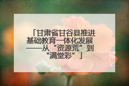 甘肃省甘谷县推进基础教育一体化发展——从“资源荒”到“满堂彩”