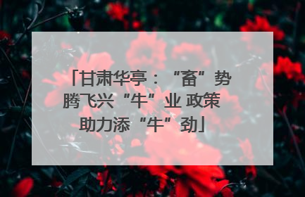 甘肃华亭：“畜”势腾飞兴“牛”业 政策助力添“牛”劲