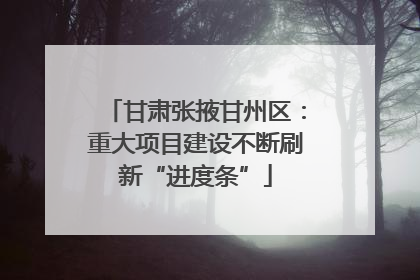 甘肃张掖甘州区：重大项目建设不断刷新“进度条”