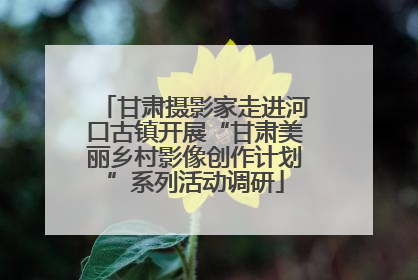 甘肃摄影家走进河口古镇开展“甘肃美丽乡村影像创作计划”系列活动调研