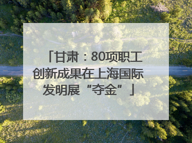 甘肃：80项职工创新成果在上海国际发明展“夺金”