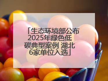 生态环境部公布2025年绿色低碳典型案例 湖北6家单位入选