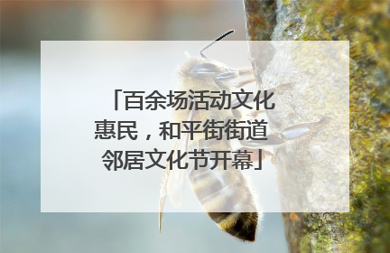 百余场活动文化惠民，和平街街道邻居文化节开幕