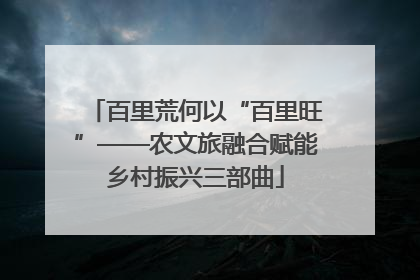 百里荒何以“百里旺”——农文旅融合赋能乡村振兴三部曲