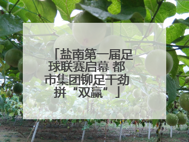 盐南第一届足球联赛启幕 都市集团铆足干劲拼“双赢”