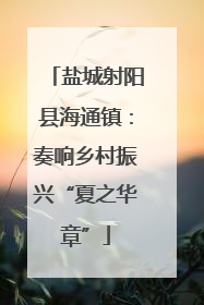 盐城射阳县海通镇：奏响乡村振兴“夏之华章”