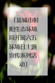 盐城市射阳生态环境局开展六五环境日主题宣传系列活动