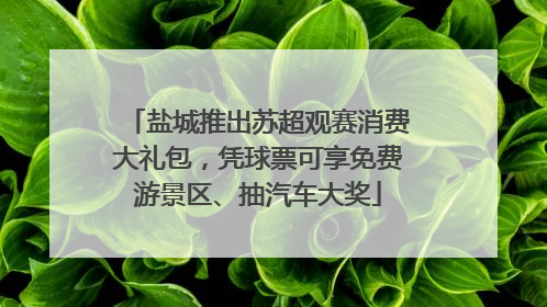 盐城推出苏超观赛消费大礼包，凭球票可享免费游景区、抽汽车大奖
