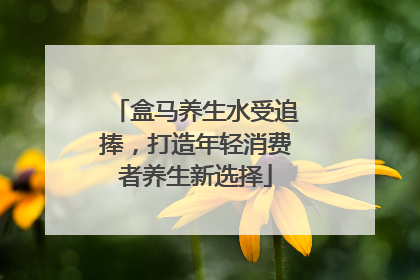 盒马养生水受追捧，打造年轻消费者养生新选择