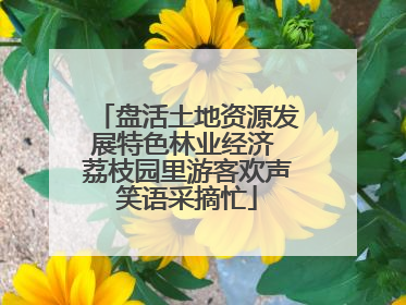 盘活土地资源发展特色林业经济 荔枝园里游客欢声笑语采摘忙