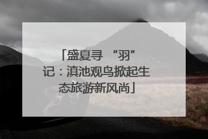 盛夏寻 “羽” 记：滇池观鸟掀起生态旅游新风尚