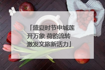 盛夏时节申城莲开万象 荷韵流转激发文旅新活力