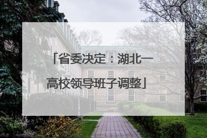 省委决定：湖北一高校领导班子调整