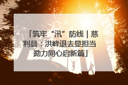 筑牢“汛”防线｜慈利县：洪峰退去显担当 勠力同心启新篇