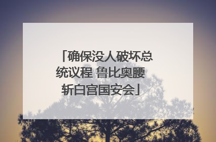 确保没人破坏总统议程 鲁比奥腰斩白宫国安会