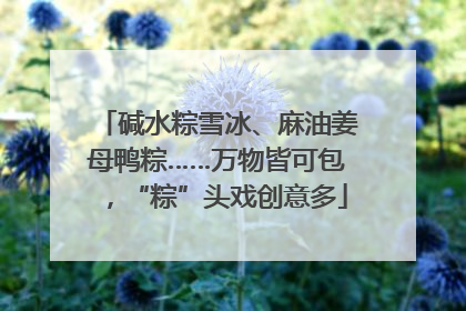 碱水粽雪冰、麻油姜母鸭粽……万物皆可包，“粽”头戏创意多
