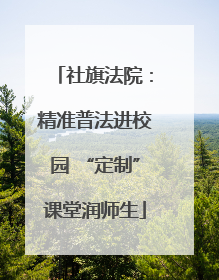 社旗法院：精准普法进校园 “定制”课堂润师生