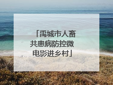 禹城市人畜共患病防控微电影进乡村