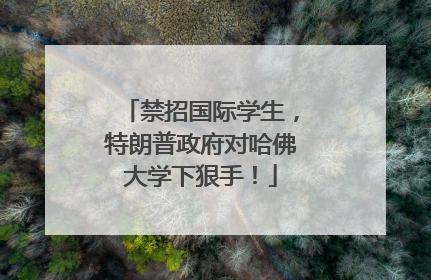 禁招国际学生，特朗普政府对哈佛大学下狠手！