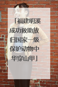 福建明溪成功救助放归国家一级保护动物中华穿山甲