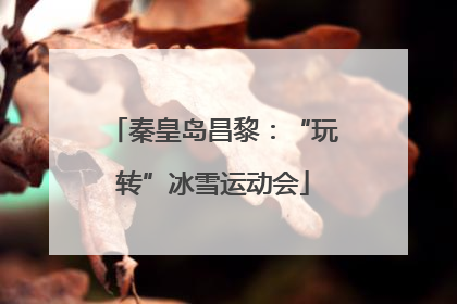 秦皇岛昌黎：“玩转”冰雪运动会