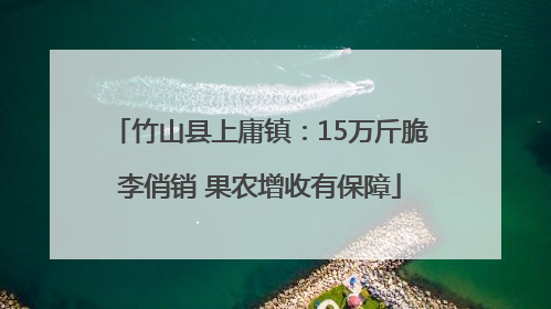 竹山县上庸镇：15万斤脆李俏销 果农增收有保障