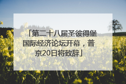 第二十八届圣彼得堡国际经济论坛开幕，普京20日将致辞