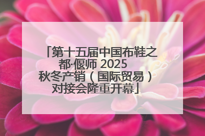 第十五届中国布鞋之都·偃师 2025 秋冬产销（国际贸易）对接会隆重开幕