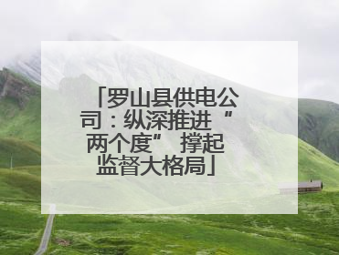 罗山县供电公司：纵深推进“两个度” 撑起监督大格局