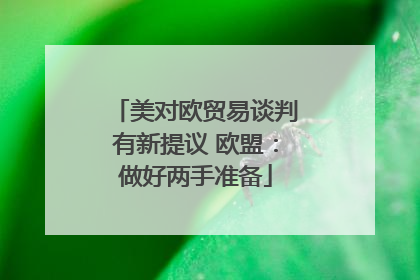 美对欧贸易谈判有新提议 欧盟：做好两手准备