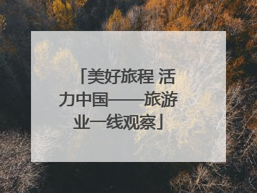 美好旅程 活力中国——旅游业一线观察
