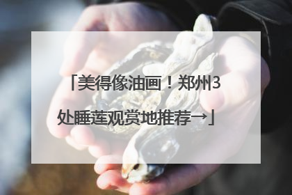 美得像油画！郑州3处睡莲观赏地推荐→