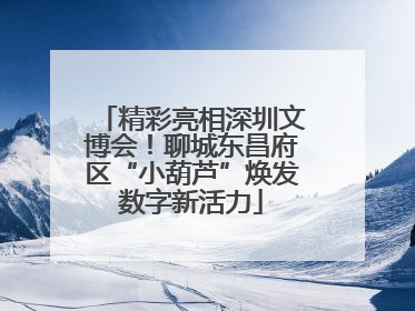 精彩亮相深圳文博会！聊城东昌府区“小葫芦”焕发数字新活力