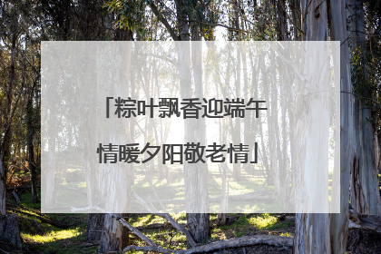 粽叶飘香迎端午 情暖夕阳敬老情