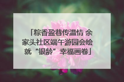 粽香盈巷传温情 余家头社区端午游园会绘就“银龄”幸福画卷