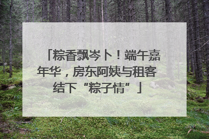 粽香飘岑卜！端午嘉年华，房东阿姨与租客结下“粽子情”